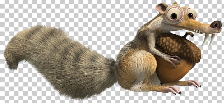 Scrat Squirrel Ice Age PNG, Clipart, Animals, Clip Art, Common Opossum, Drawing, Fauna Free PNG Download