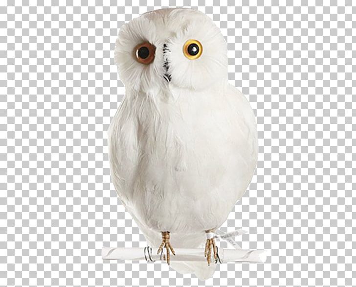 Snowy Owl Bird Budgerigar PUEBCO PNG, Clipart, Animal, Animals, Beak, Bird, Bird Of Prey Free PNG Download