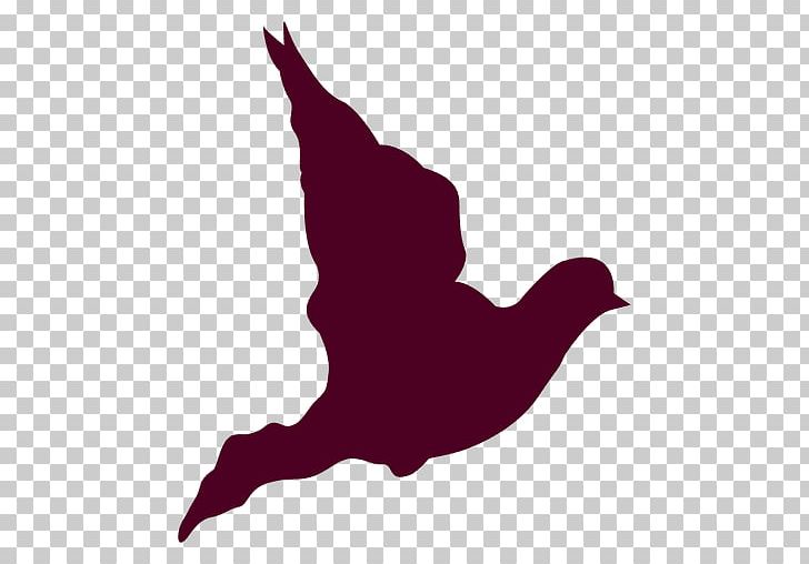 Columbidae Flight Domestic Pigeon Bird Beak PNG, Clipart, Animals, Beak, Bird, Bird Flight, Bird Of Prey Free PNG Download