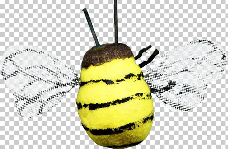 Honey Bee Insect PNG, Clipart, Apitoxin, Balloon Cartoon, Bee, Boy Cartoon, Cartoon Free PNG Download