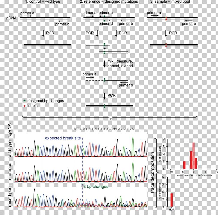 Indel CRISPR Template Résumé Nucleic Acid Sequence PNG, Clipart, Analysis, Angle, Area, Cas9, Cells Free PNG Download