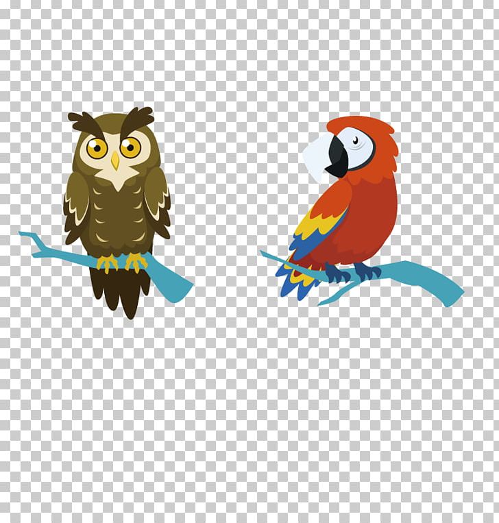 Owl Bird Parrot Crows Macaw PNG, Clipart, Animal, Animals, Beak, Bird, Bird Of Prey Free PNG Download