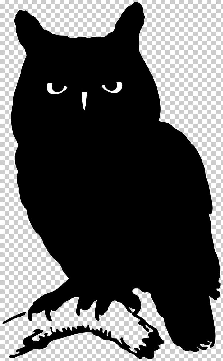 Owl Whiskers Silhouette Bird PNG, Clipart, Animals, Beak, Bird, Bird Of Prey, Black Free PNG Download