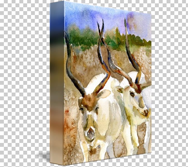 Reindeer Antelope Antler Fauna Wildlife PNG, Clipart, Antelope, Antler, Deer, Fauna, Horn Free PNG Download