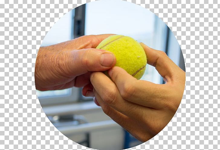 Tennis Balls H&M PNG, Clipart, Ball, Hand, Sports, Tennis, Tennis Ball Free PNG Download