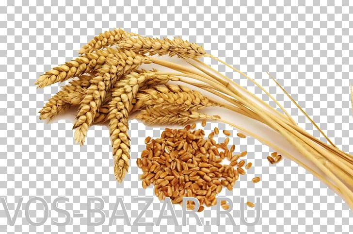 Common Wheat Organic Food Cereal Flour PNG, Clipart, Bran, Bulgur, Cereal, Cereal Germ, Commodity Free PNG Download
