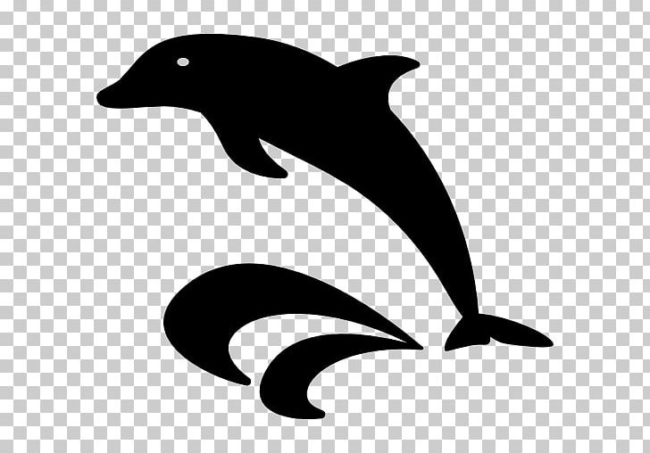 Computer Icons Oceanic Dolphin Encapsulated PostScript PNG, Clipart, Beak, Black, Black And White, Encapsulated Postscript, Fauna Free PNG Download