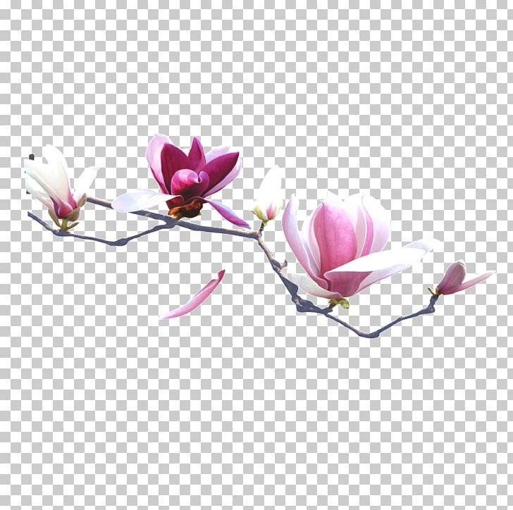 China Encapsulated PostScript PNG, Clipart, Blossom, Branch, China, Download, Encapsulated Postscript Free PNG Download