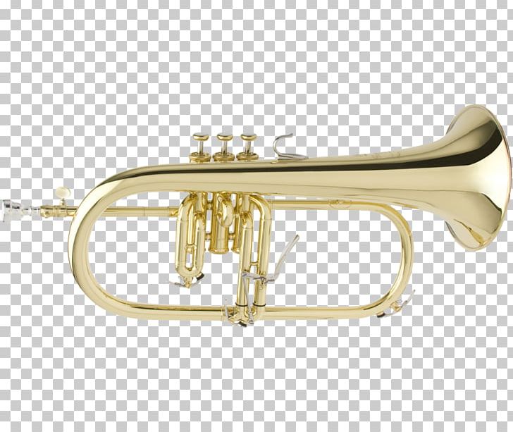 Flugelhorn Trumpet Brass Instruments Saxhorn Musical Instruments PNG, Clipart, Alto Horn, Bobby Shew, Bore, Brass, Brass Instrument Free PNG Download
