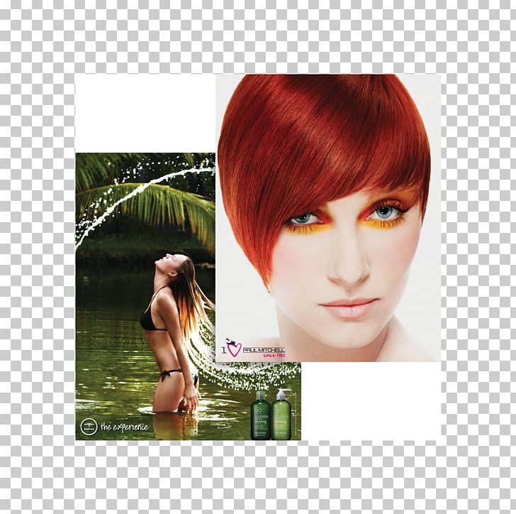Red Hair Paul Mitchell Hair Coloring Salon LeChene Capelli PNG, Clipart, Bangs, Beauty Parlour, Black Hair, Blond, Brown Hair Free PNG Download