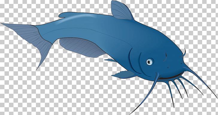 Shark Dolphin Bony Fishes Porpoise Marine Biology PNG, Clipart, Animals, Biology, Bony Fish, Bony Fishes, Cartilaginous Fish Free PNG Download