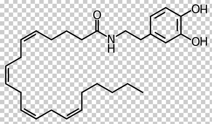 Adrenaline Neurotransmitter Agonist Norepinephrine PNG, Clipart, Agonist, Angle, Area, Arma, Black And White Free PNG Download
