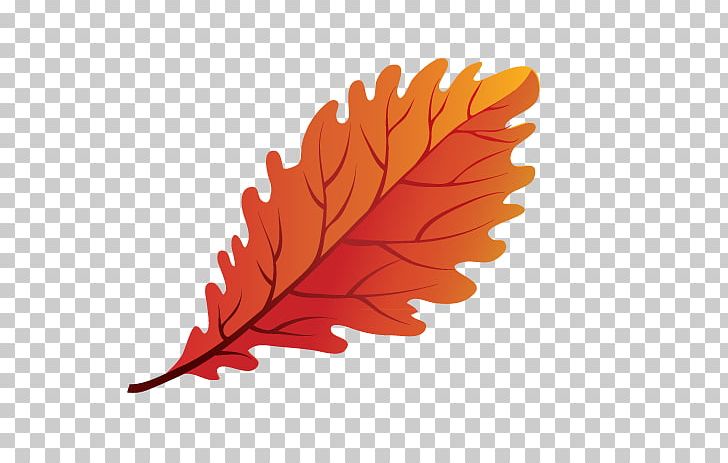 Leaf PNG, Clipart, Autumn, Autumn Leaves, Autumn Tree, Autumn Vector, Banana Leaves Free PNG Download