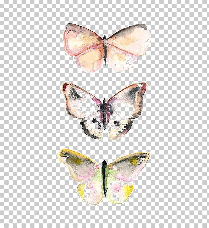 Pieridae Butterfly Watercolor Painting Drawing Work Of Art PNG, Clipart, Art, Butterflies And Moths, Butterfly, Drawing, Insect Free PNG Download