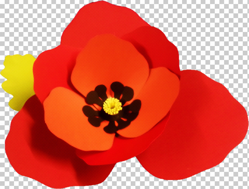 Petal Flower Red Plant Poppy Family PNG, Clipart, Anemone, Coquelicot, Corn Poppy, Flower, Perennial Plant Free PNG Download