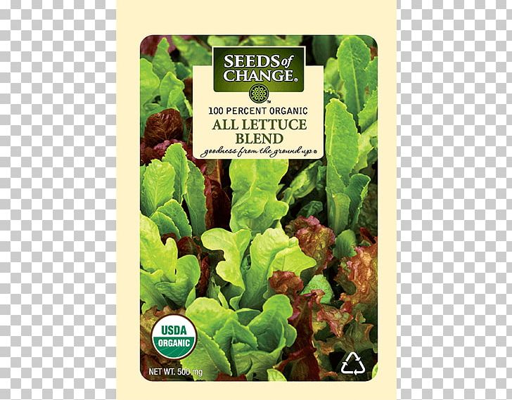Romaine Lettuce Organic Food Seeds Of Change PNG, Clipart, Chard, Herb, Lactuca, Leaf Vegetable, Lettuce Free PNG Download