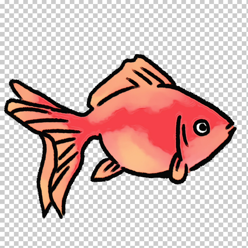 Cartoon Fish Science Biology PNG, Clipart, Biology, Cartoon, Fish, Paint, Science Free PNG Download