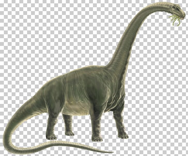 Dinosaur Terrestrial Animal PNG, Clipart, Animal, Animal Figure, Animals, Argentinosaurus, Cretaceous Free PNG Download