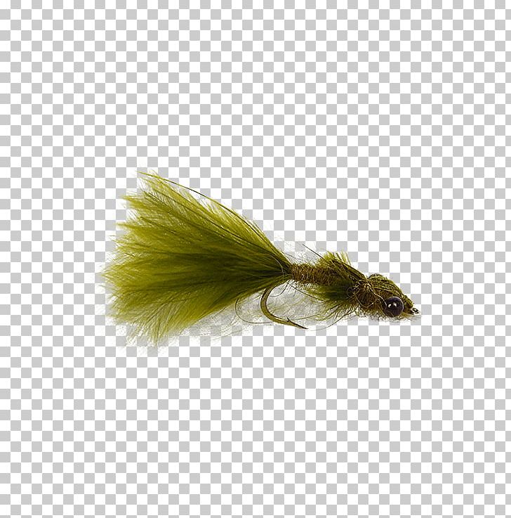 Pheasant Tail Nymph Fly Stoneflies PNG, Clipart, Fly, Flying Nymph, Fox, Foxtail, Girdle Free PNG Download