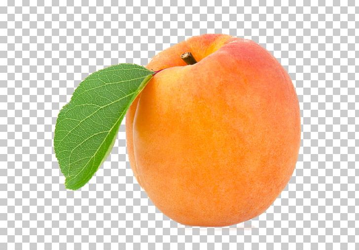 White Wine Apricot Desktop Fruit PNG, Clipart, Apple, Apricot, Desktop Wallpaper, Diet Food, Display Resolution Free PNG Download