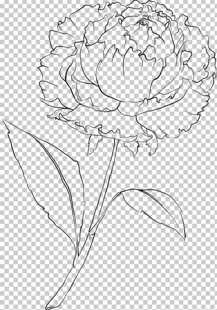 Drawing Peony Line Art PNG, Clipart, Artwork, Black And White, Branch, Coloring Book, Coloring Page Free PNG Download