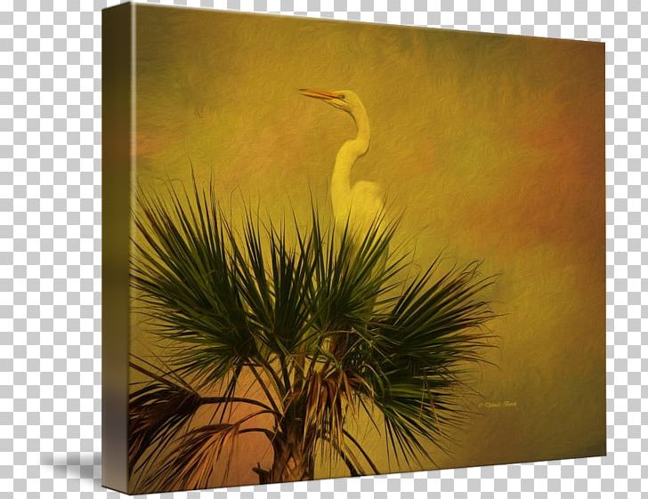 Flora Fauna Painting Beak Sky Plc PNG, Clipart, Art, Beak, Crane Like Bird, Fauna, Flora Free PNG Download