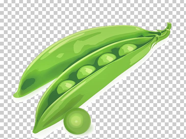 Pea Drawing Pod Illustration PNG, Clipart, Angle, Angles, Beans, Dish, Food Free PNG Download
