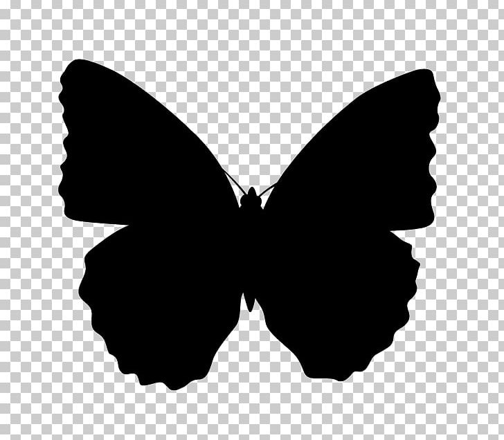 Brush-footed Butterflies Butterfly Silhouette PNG, Clipart, Animal, Animal Silhouettes, Black, Black And White, Brush Footed Butterflies Free PNG Download