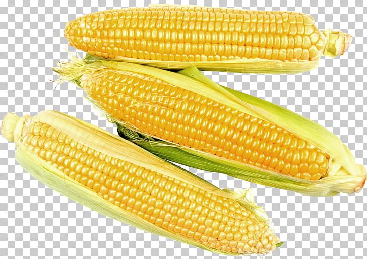 Corn On The Cob Maize Sweet Corn Corn Kernel PNG, Clipart, Commodity, Corn, Corn Kernel, Corn Kernels, Corn On The Cob Free PNG Download