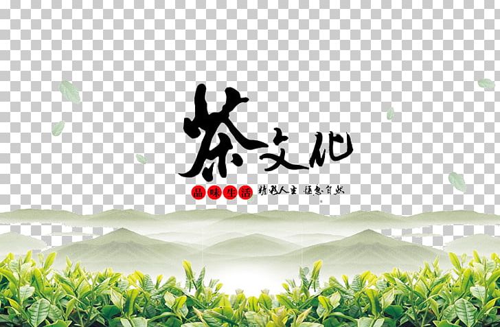 Green Tea Yum Cha Tea Culture Japanese Tea Ceremony PNG, Clipart, Brand, Camellia, Chinese Tea, Chinese Tea Ceremony, Computer Wallpaper Free PNG Download