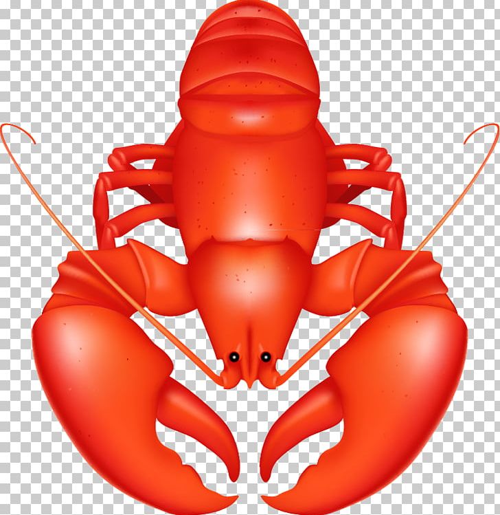 Lobster Seafood Crab PNG, Clipart, Animals, Blog, Boxing Glove, Cartoon Lobster, Crustacean Free PNG Download