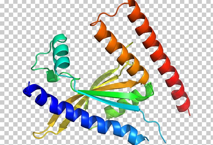 Protein Structure Line Organism PNG, Clipart, Area, Art, Artwork, D 5, Dec Free PNG Download