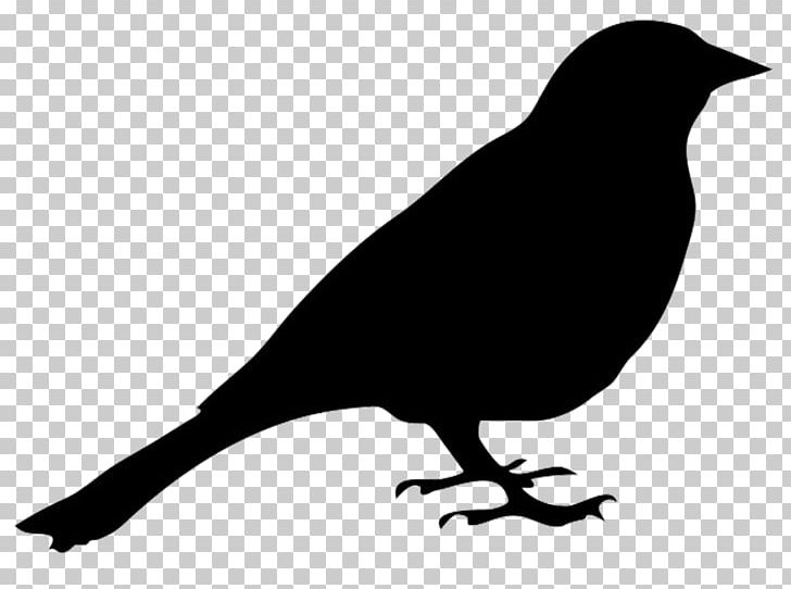 Bird Silhouette Art PNG, Clipart, American Crow, Animals, Art, Beak, Bird Free PNG Download