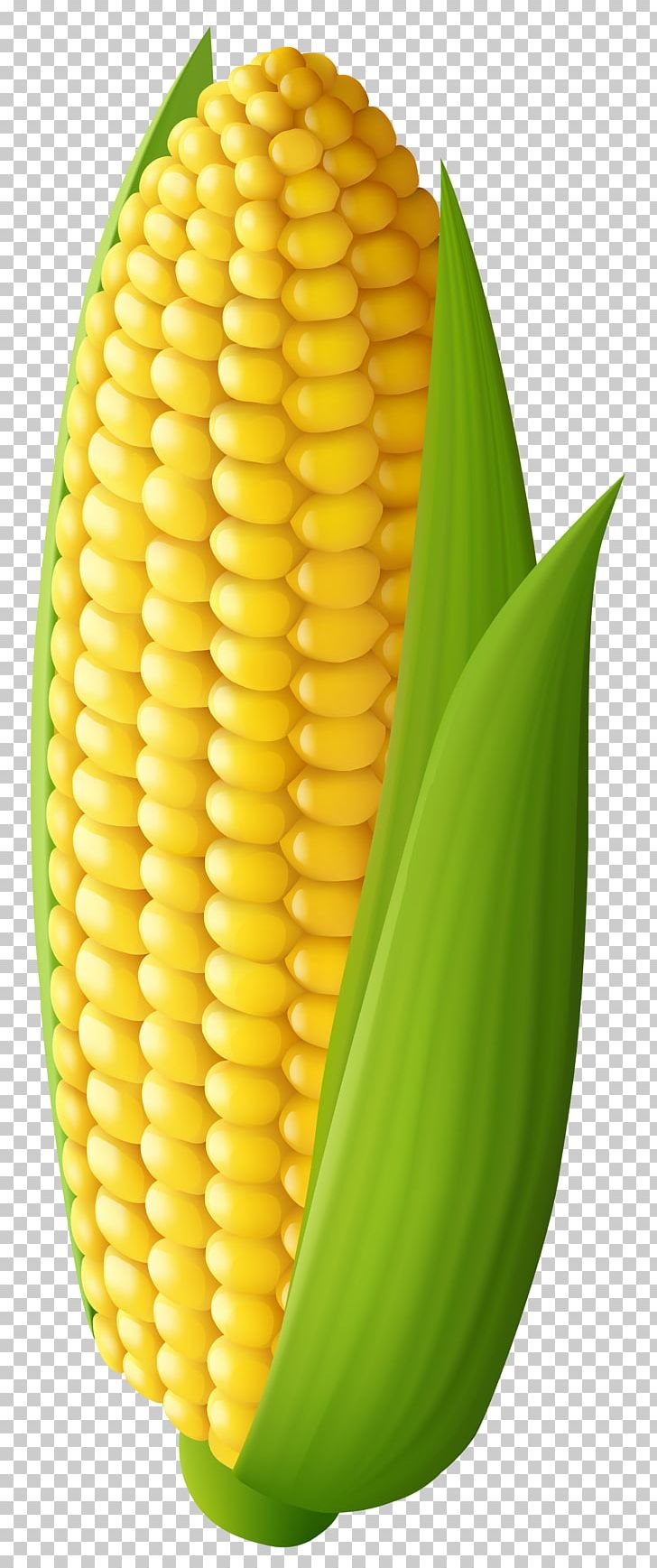 Corn On The Cob Maize Sweet Corn PNG, Clipart, Cauliflower, Clip Art, Commodity, Corncob, Corn Kernels Free PNG Download