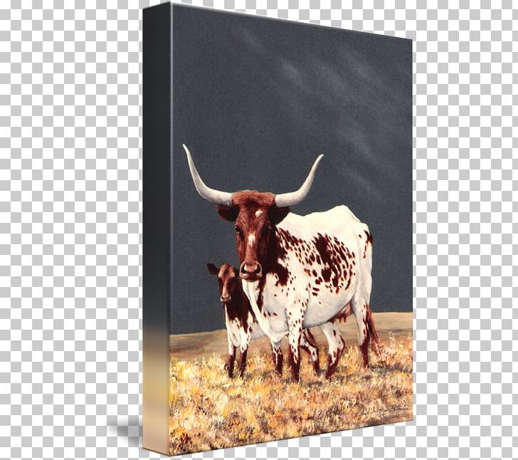 Texas Longhorn English Longhorn Ox Calf PNG, Clipart, Art, Bull, Calf, Canvas, Cattle Free PNG Download