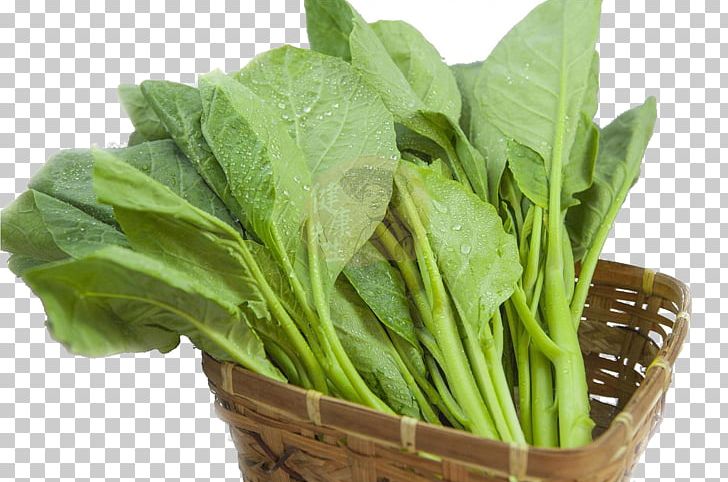 Chinese Broccoli Spring Greens Vegetable Kale Spinach PNG, Clipart, Basket, Basket Ball, Basket Of Apples, Baskets, Broccoli Free PNG Download