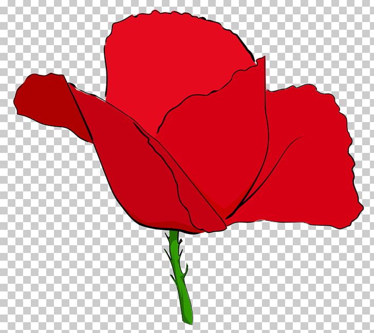 Remembrance Poppy Common Poppy Opium Poppy PNG, Clipart, Armistice Day, Blood Swept Lands And Seas Of Red, Common Poppy, Computer Icons, Coquelicot Free PNG Download