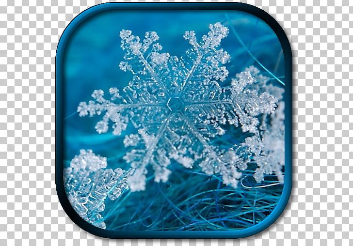 Snowflake Desktop Winter PNG, Clipart, Alx, App, Aqua, Cold, Computer Free PNG Download