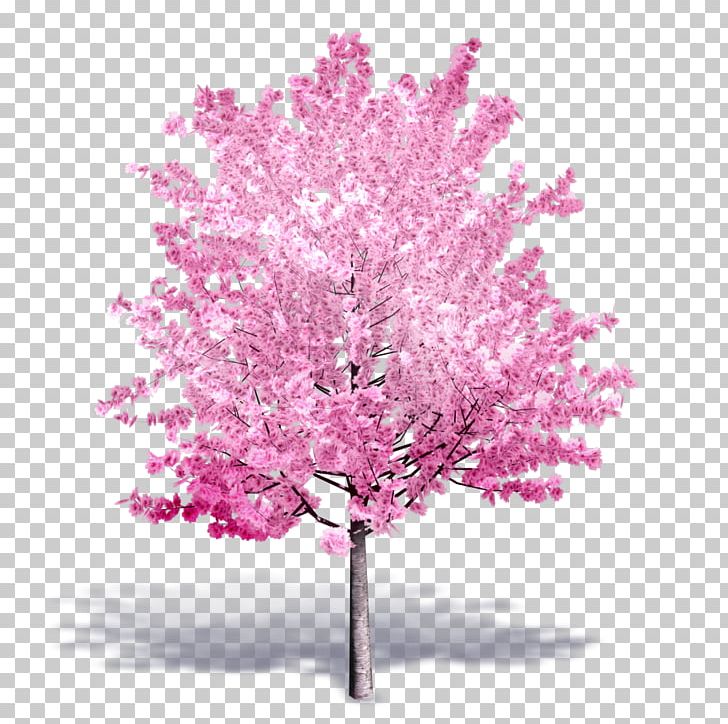 Tree Autodesk Revit Building Information Modeling Cherry Blossom .dwg PNG, Clipart, Archicad, Artlantis, Autocad Dxf, Autodesk Revit, Blooming Free PNG Download