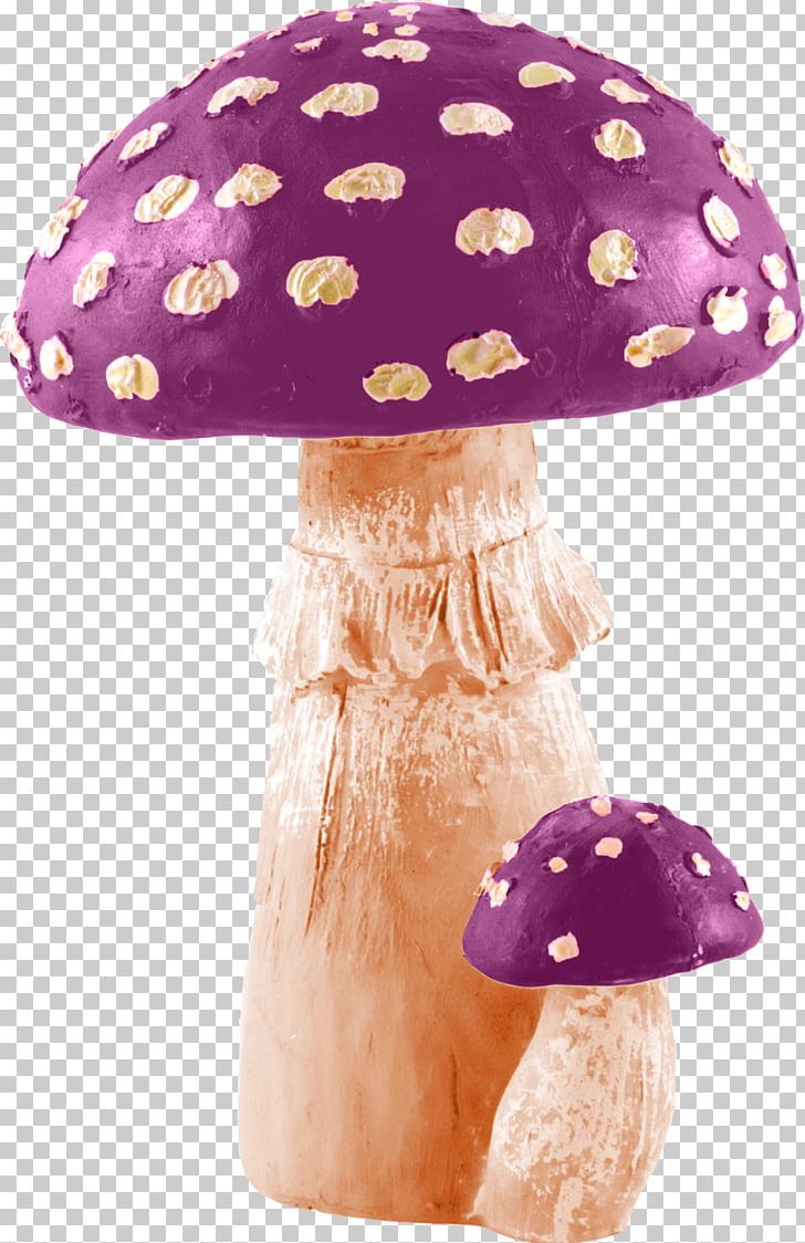 Amanita Muscaria Mushroom Photography PNG, Clipart, Amanita, Amanita Muscaria, Fungus, Hand, Hand Drawn Free PNG Download