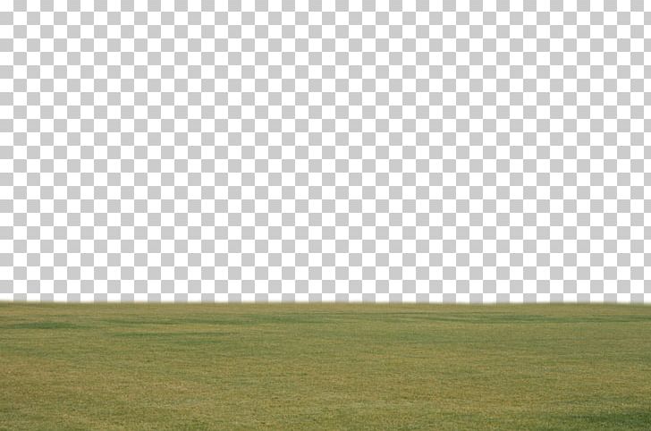 Lawn Steppe Grassland Land Lot Crop PNG, Clipart, Agriculture, Artificial Grass, Crop, Ecoregion, Ecosystem Free PNG Download