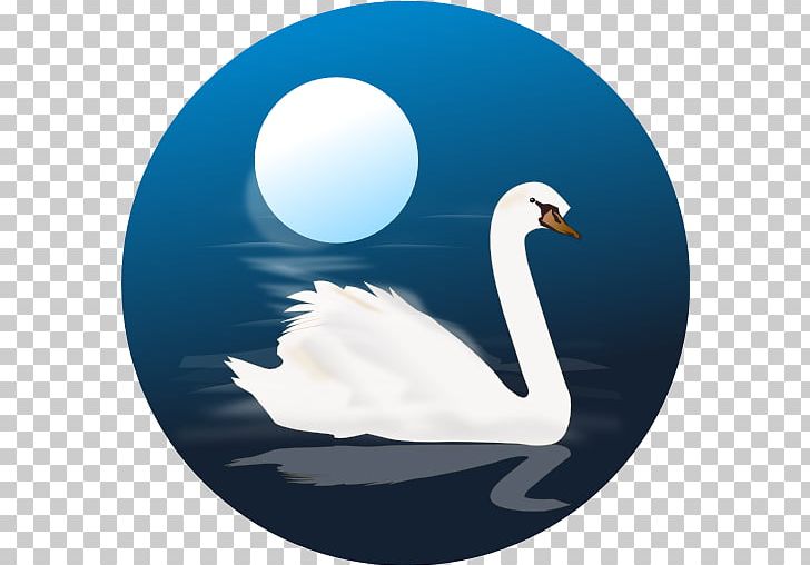 Mute Swan Bird Black Swan PNG, Clipart, Animals, Art, Beak, Bird, Black Swan Free PNG Download