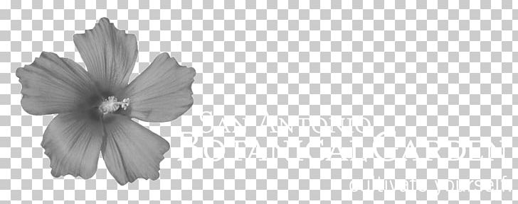 San Antonio Botanical Garden Botany Funston Place PNG, Clipart, Botanical Garden, Botany, Child, Client, Cut Flowers Free PNG Download