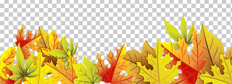 Maple Leaf PNG, Clipart, Autumn, Deciduous, Flower, Leaf, Maple Leaf Free PNG Download