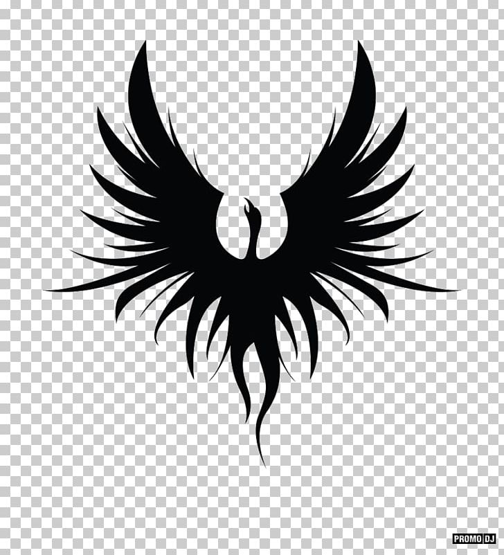 Bird Of Prey Logo Beak Desktop PNG, Clipart, Animals, Beak, Bird, Bird Of Prey, Black And White Free PNG Download
