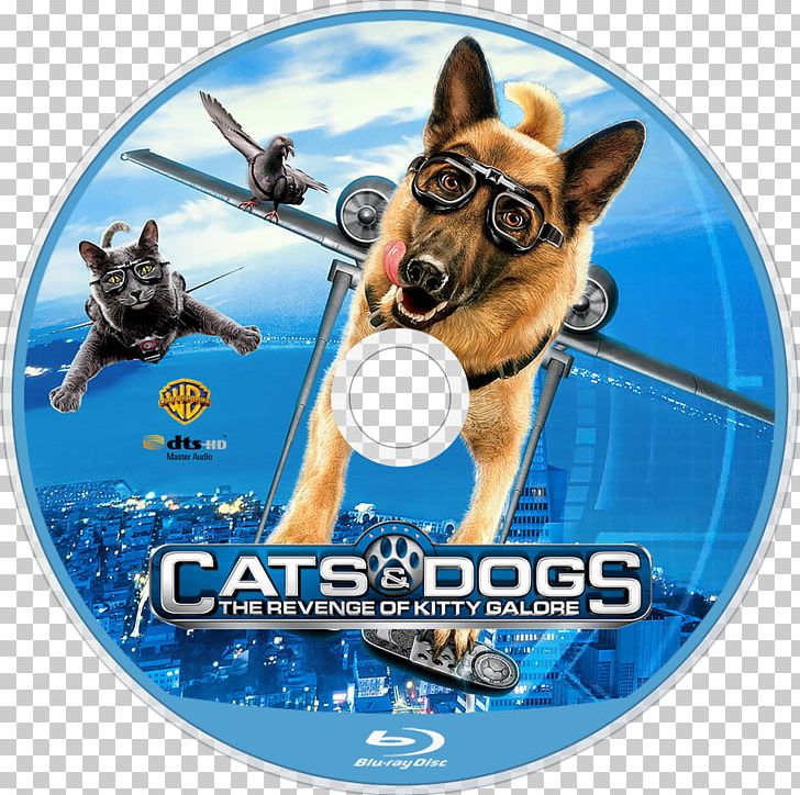 Cats & Dogs YouTube Kitty Galore Film PNG, Clipart, Animals, Cat, Cat Dog, Cats Dogs, Dog Free PNG Download