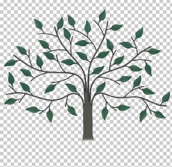 Drawer Pull Cabinetry Wall Decal Tree PNG, Clipart, Art, Branch, Cabinetry, Chest Of Drawers, Decorative Arts Free PNG Download