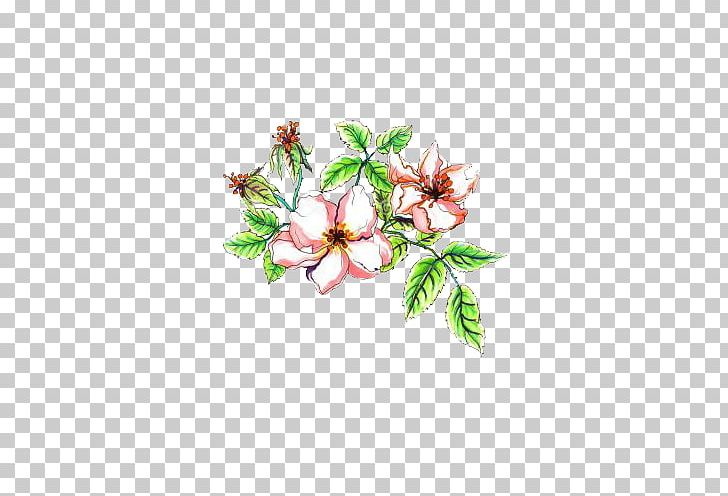 Flower Stock Photography Watercolor Painting Illustration PNG, Clipart, Apple Flower, Art, Banco , Botany, Branch Free PNG Download