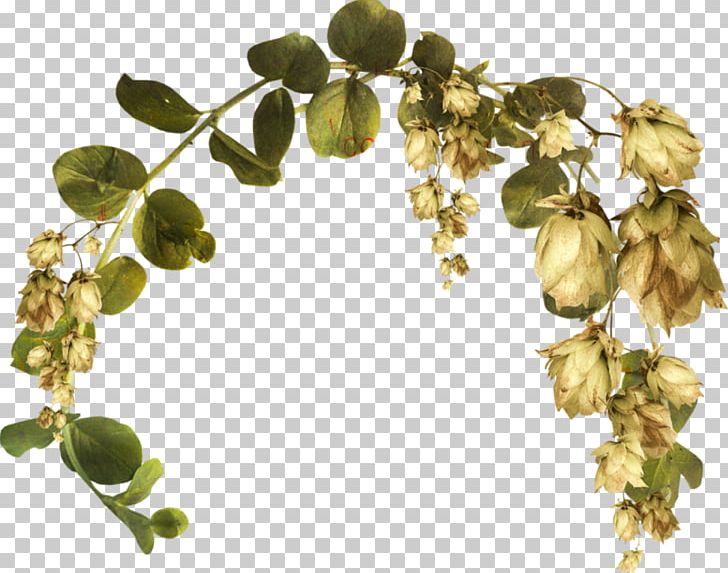 Branch PNG, Clipart, Branch, Digital Image, Flower, Leaf, Microsoft Paint Free PNG Download