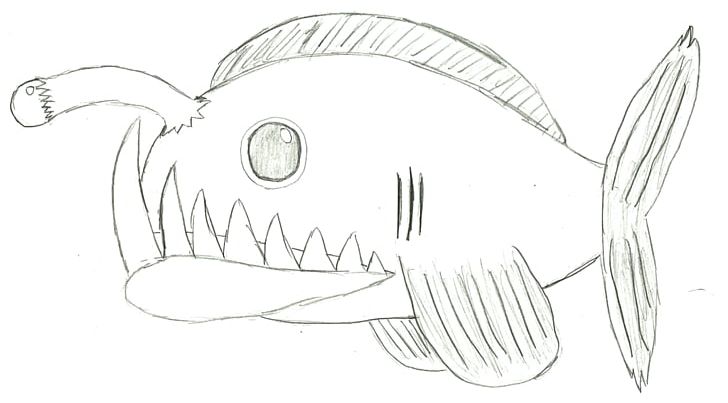 Drawing Angelfish Anglerfish Sketch PNG, Clipart, Angelfish, Anglerfish, Art, Artwork, Black And White Free PNG Download